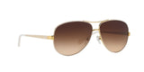 301913 - White - Brown Gradient