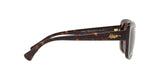500373 - Shiny Dark Havana - Brown