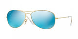 Ray Ban Cockpit 3362 Sunglasses