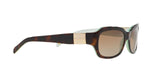 601/T5 - Havana - Polar Brown Gradient