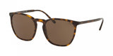 Polo 4141 Sunglasses