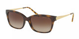 Michael Kors 2029 Sunglasses