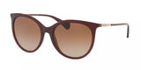 Ralph 5232 Sunglasses