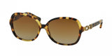 Coach L096 Cole 8123 Sunglasses