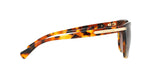 5438T5 - Havana - Brown Gradient Polar