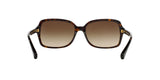 500113 - Havana - Brown Gradient