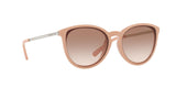 335013 - Light Brown Gradient