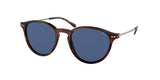 Polo 4169 Sunglasses