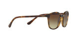 W65613 - Havana - Brown Gradient