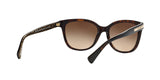 529113 - Havana - Dark Brown Gradient