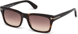 Tom Ford 0494 Sunglasses