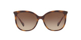 500313 - Havana - Gradient Brown