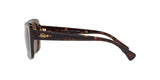 500373 - Shiny Dark Havana - Brown