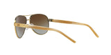 101/T5 - Gold - Polar Brown Gradient