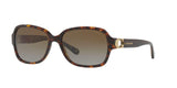 5507T5 - Dark Tortoise - Brown Gradient Polar