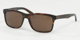 Polo 4098 Sunglasses