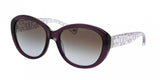 Coach 8106 Sunglasses