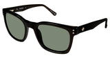 Sperry SPBRANTPOINT Sunglasses