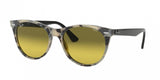 Ray Ban Wayfarer Ii 2185 Sunglasses