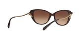 548574 - Dark Tortoise - Brown Gradient