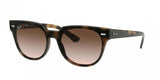 Ray Ban Blaze Meteor 4368NF Sunglasses