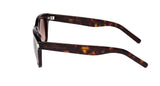 004 - Havana/Havana - Brown