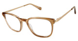 Choice Rewards Preview SPSHEARWATER Eyeglasses