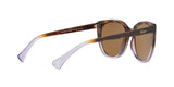 573683 - Dark Brown Polar