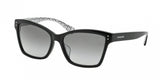 Coach 8107F Sunglasses