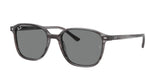 Ray Ban Leonard 2193F Sunglasses