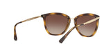 500313 - Gradient Brown