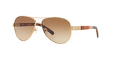 420/13 - Havana - Brown Gradient