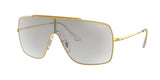 Ray Ban Wings Ii 3697 Sunglasses