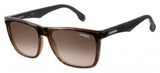 Carrera 5041 Sunglasses