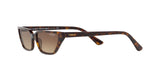 W65613 - Dark Havana - Brown Gradient