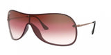 Ray Ban 4411 Sunglasses