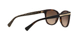 529113 - Havana - Dark Brown Gradient
