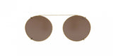 Polo 1169C Sunglasses