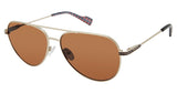 Ben Sherman BSSHAFTESBURY Eyeglasses