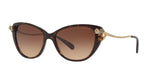 548574 - Dark Tortoise - Brown Gradient