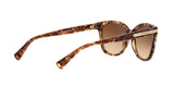 528713 - Light Brown - Brown Gradient
