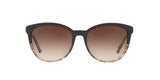556713 - Brown - Brown Gradient