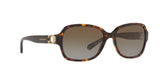 5507T5 - Dark Tortoise - Brown Gradient Polar