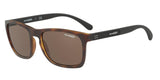Arnette Burnside 4236 Sunglasses