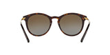 3106T5 - Havana - Brown Gradient Polarized