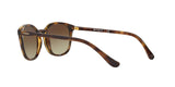 W65613 - Havana - Brown Gradient