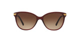 301413 - Bordeaux - Brown Gradient