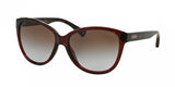 Coach L065 Robyn 8074 Sunglasses