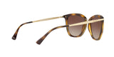 500313 - Gradient Brown