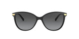 3001T3 - Black - Polar Grey Gradient